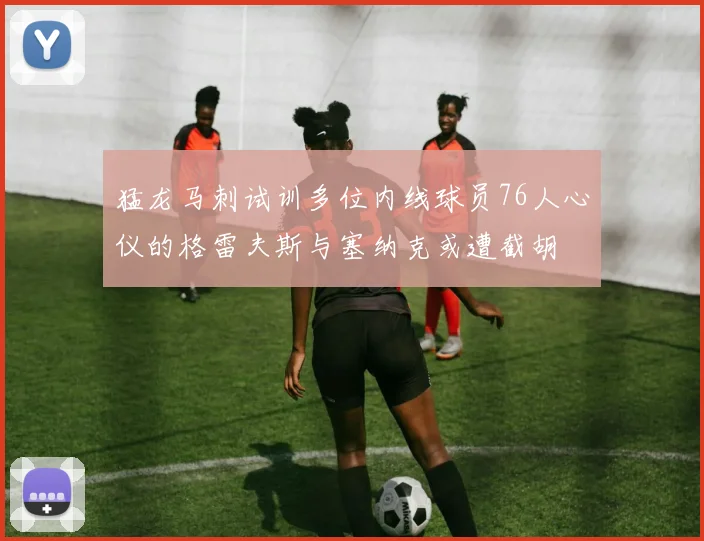 猛龙马刺试训多位内线球员76人心仪的格雷夫斯与塞纳克或遭截胡